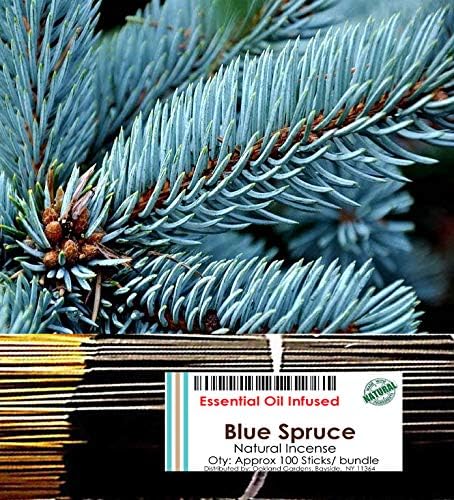 Oakland Gardens Premium Hand Dipped Incense Sticks, You Choose The Scent. 100 Sticks Blue Spruce. (Blue Spruce)