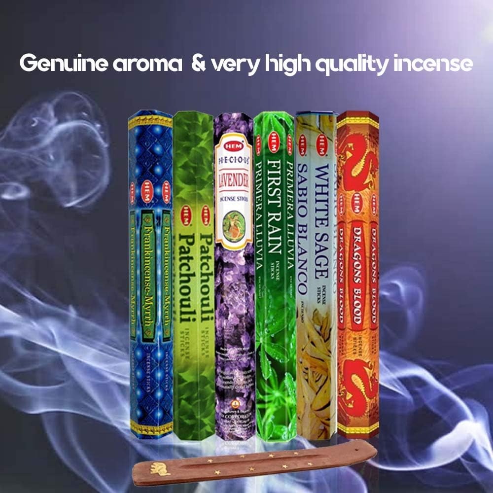 Six Most Popular HEM Incense Scents With Free Burner - 40 Sticks Each of Dragon's Blood, Frankincense & Myrrh, Patchouli, Precious Lavender, First Rain, and White Sage 240 TOTAL STICKS