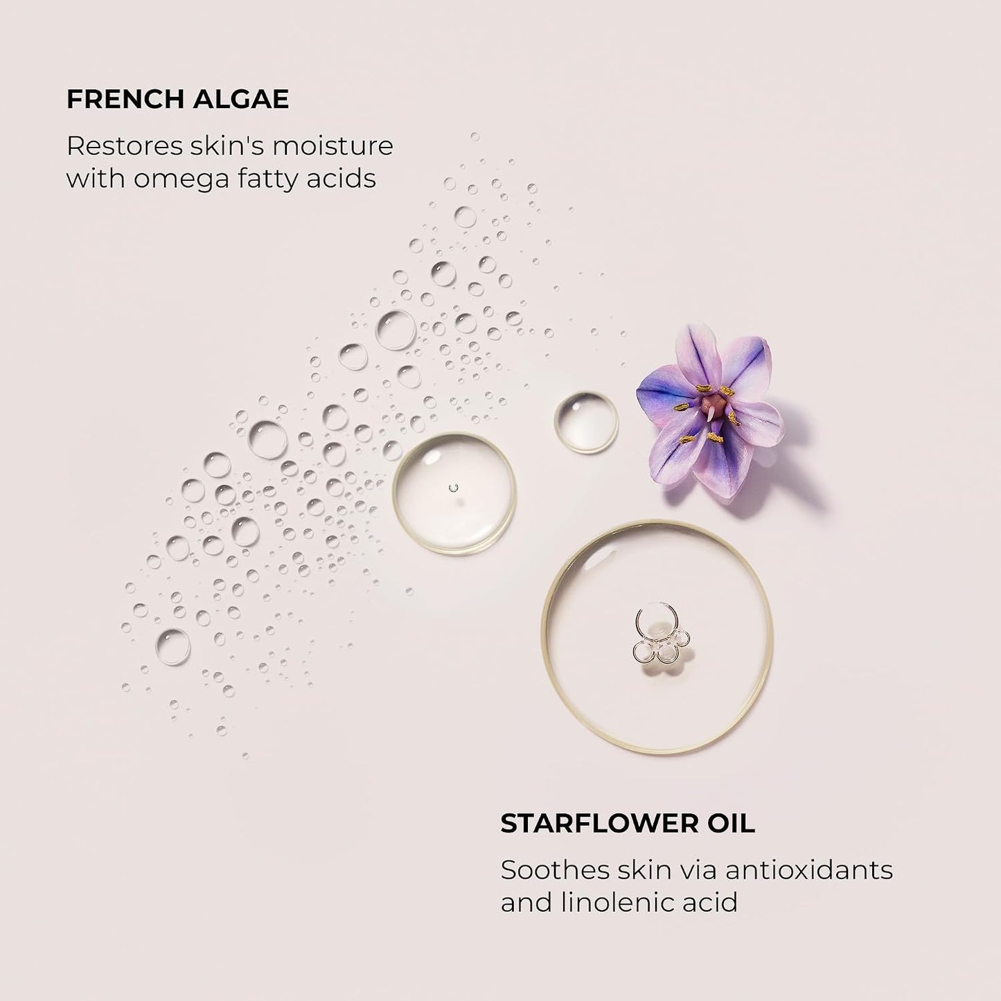 Laura Mercier Serum Body Cream, Moisturizing Serum-Infused, 48HR Hydration, Improves Skin Barrier, Soothes Dry Skin, Shea Butter and Squalane Intensely Nourishes, Bath & Body Set
