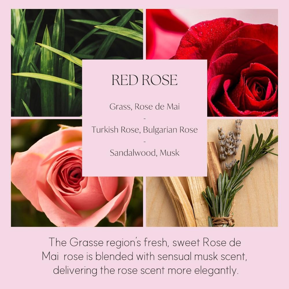 396 st. Reed Diffuser Oil Refill, Red Rose(Also Known as Rose Perfume), 16.9oz(500ml), 10 Fiber Reed Sticks/Home Fragrance, Scented Oil Refills, Oils for Reed Diffuser, Home Décor