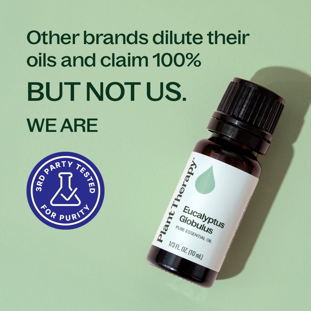 Plant Therapy Eucalyptus Globulus Essential Oil 10 mL (1/3 oz)