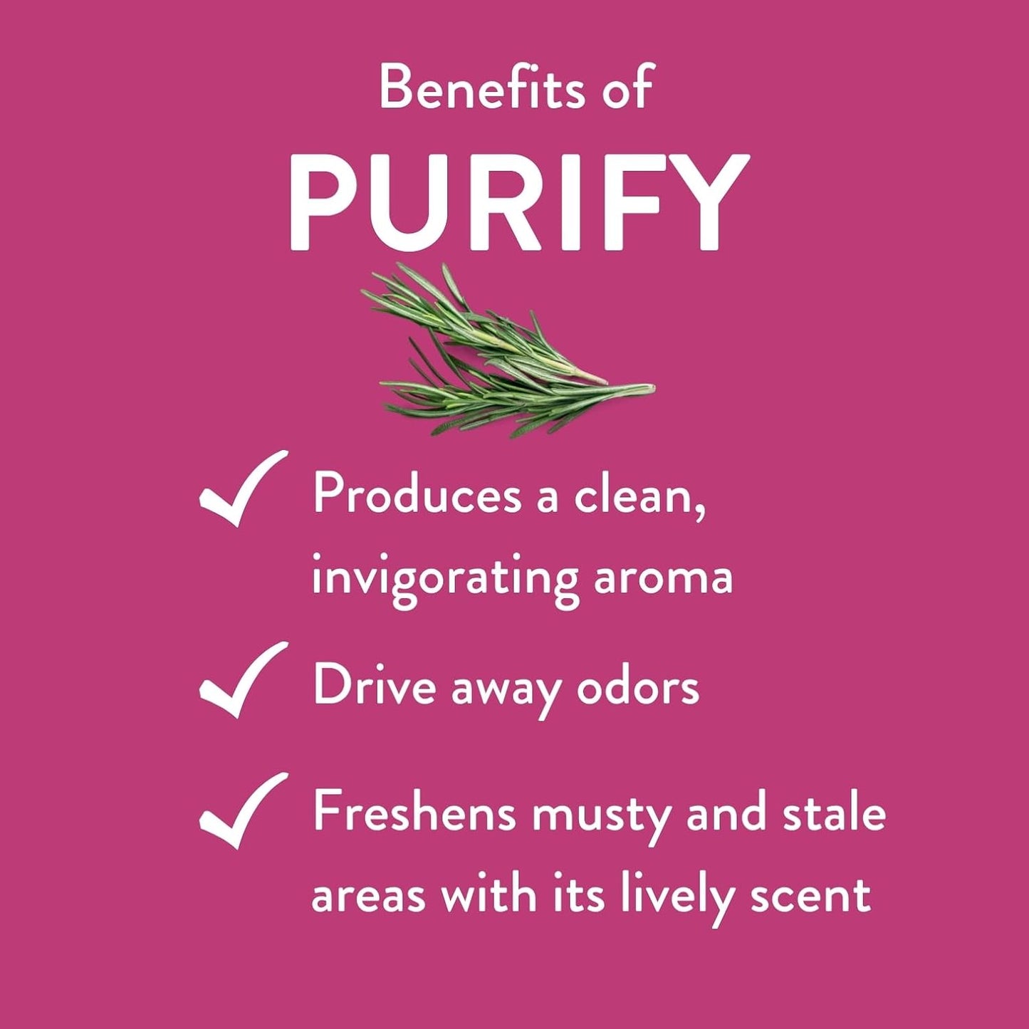 Purify Essential Oil Blend by Revive Essential Oils - REVIVEEO - 100% Pure Therapeutic Grade, for Diffuser, Humidifier, Massage, Aromatherapy, Skin & Hair Care