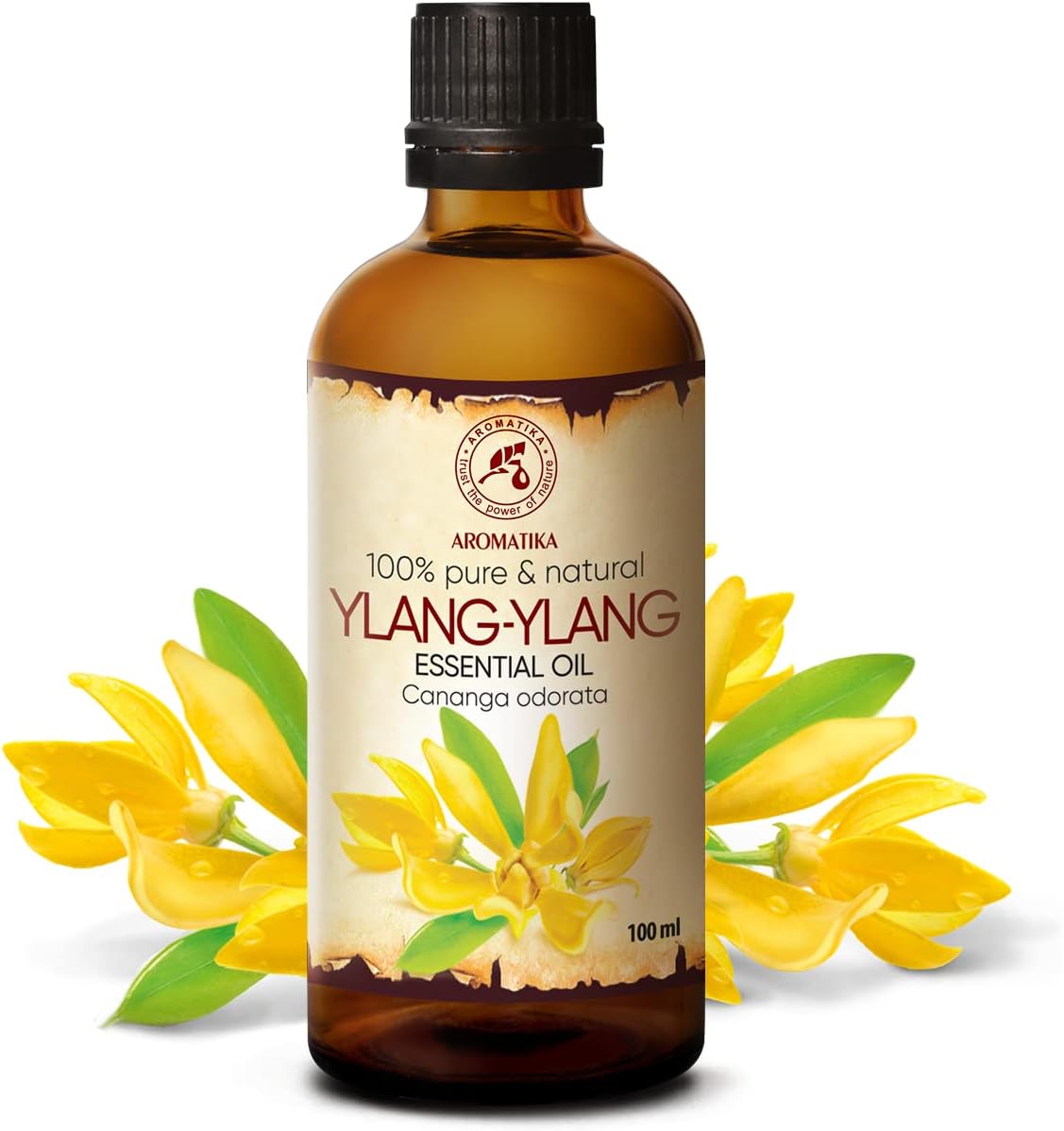 Ylang Ylang Essential Oil 3.4 Fl Oz - Cananga Odorata - Aromatherapy Essential Oils - 100% Pure Oil for - Skin & Hair Care - Oil Diffusers - Humidifier - Good Mood - Relaxation Gift for Women