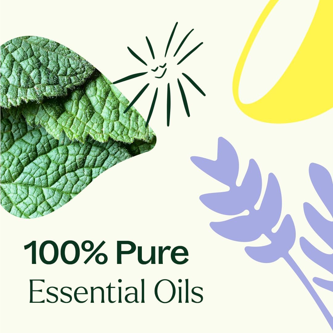 Plant Therapy Lemon, Lavender and Peppermint Essential Oil Set 10 mL (1/3 oz) 100% Pure, Undiluted, Therapeutic Grade