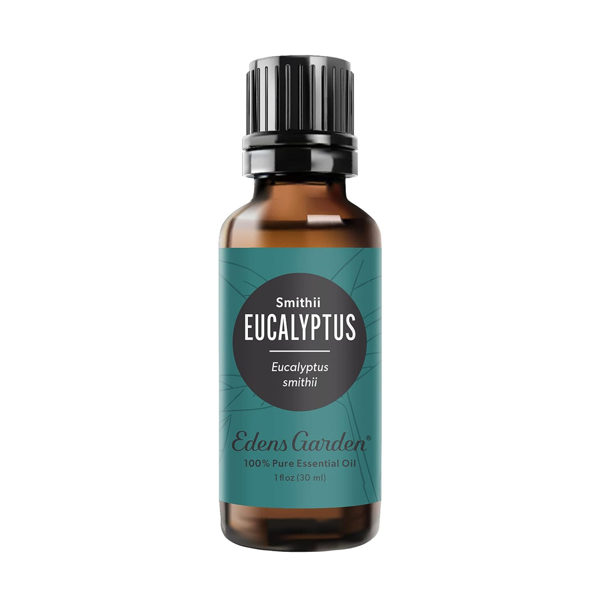 Edens Garden Eucalyptus-Smithii Essential Oil- 100% Pure 30 ml (1 fl oz)