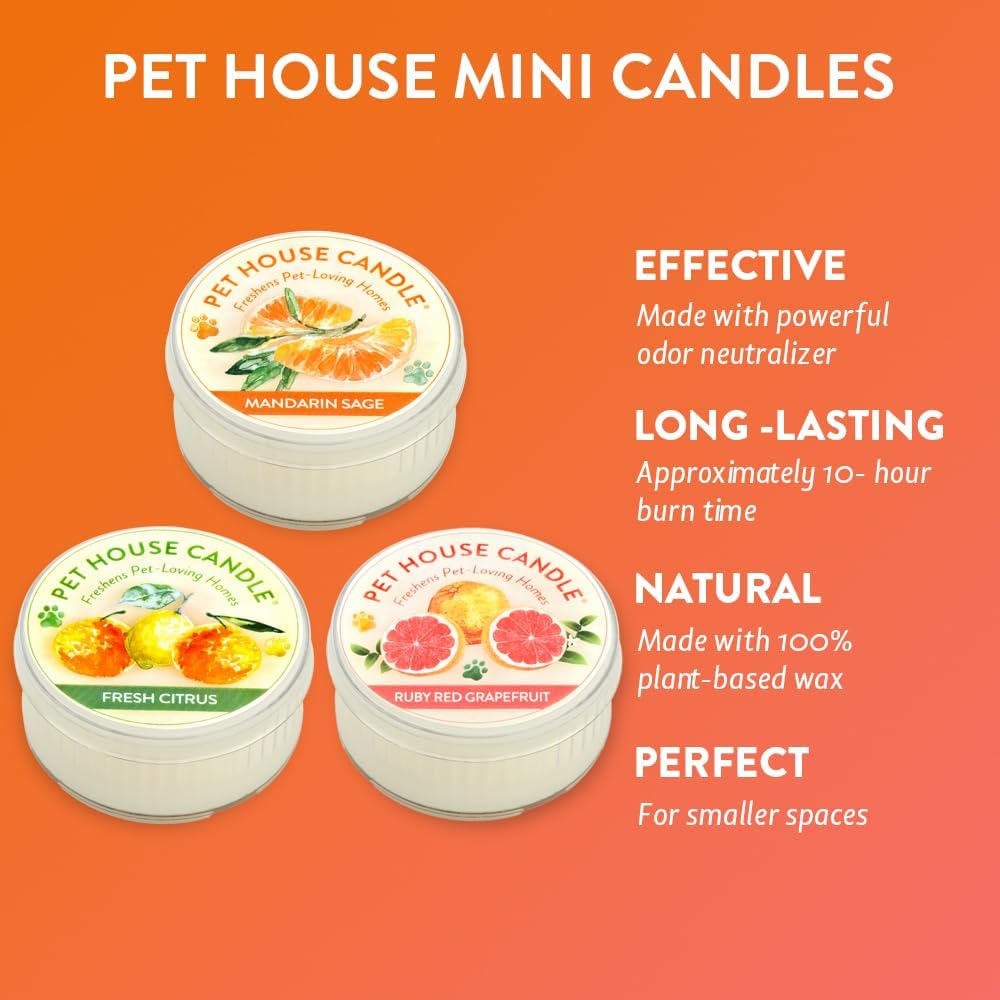 Citrus Variety Mini Candles Plant-Based Wax