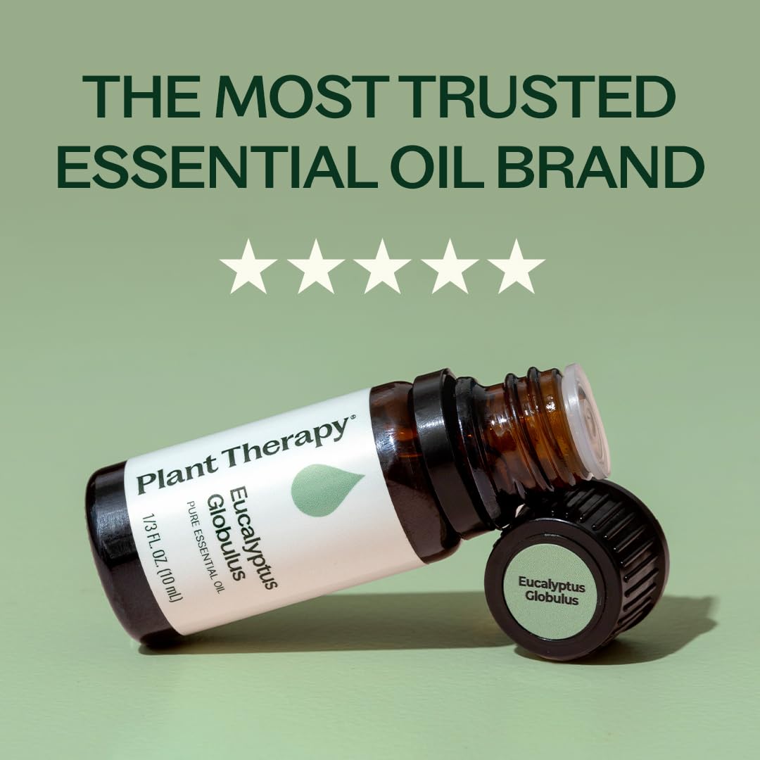 Plant Therapy Eucalyptus Globulus Essential Oil 10 mL (1/3 oz) 100% Pure, Undiluted for Diffuser, Skin, Hair, Aromatherapy DIYs, and Respiratory Support