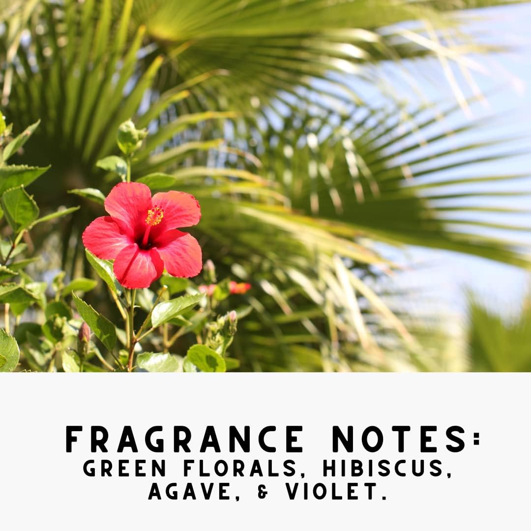 Home "ISLE OF PALM" Hibiscus + Green Floral Room Deodorant |Non Aerosol Aromatic Mist | Plant Based | Safe Odor Eliminator Freshener for Fabric/Linen, Furniture, or Air | 8.0 oz