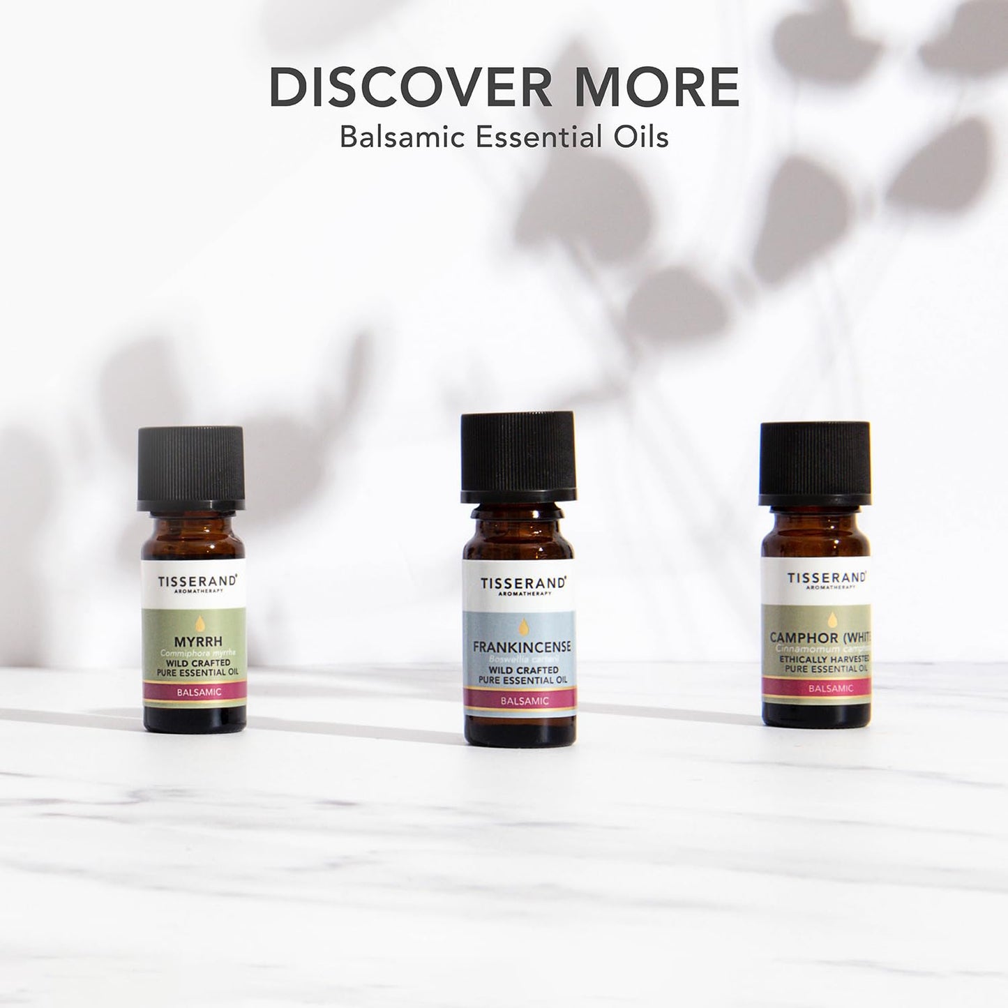 Tisserand Aromatherapy - Frankincense Essential Oil, 9 ml