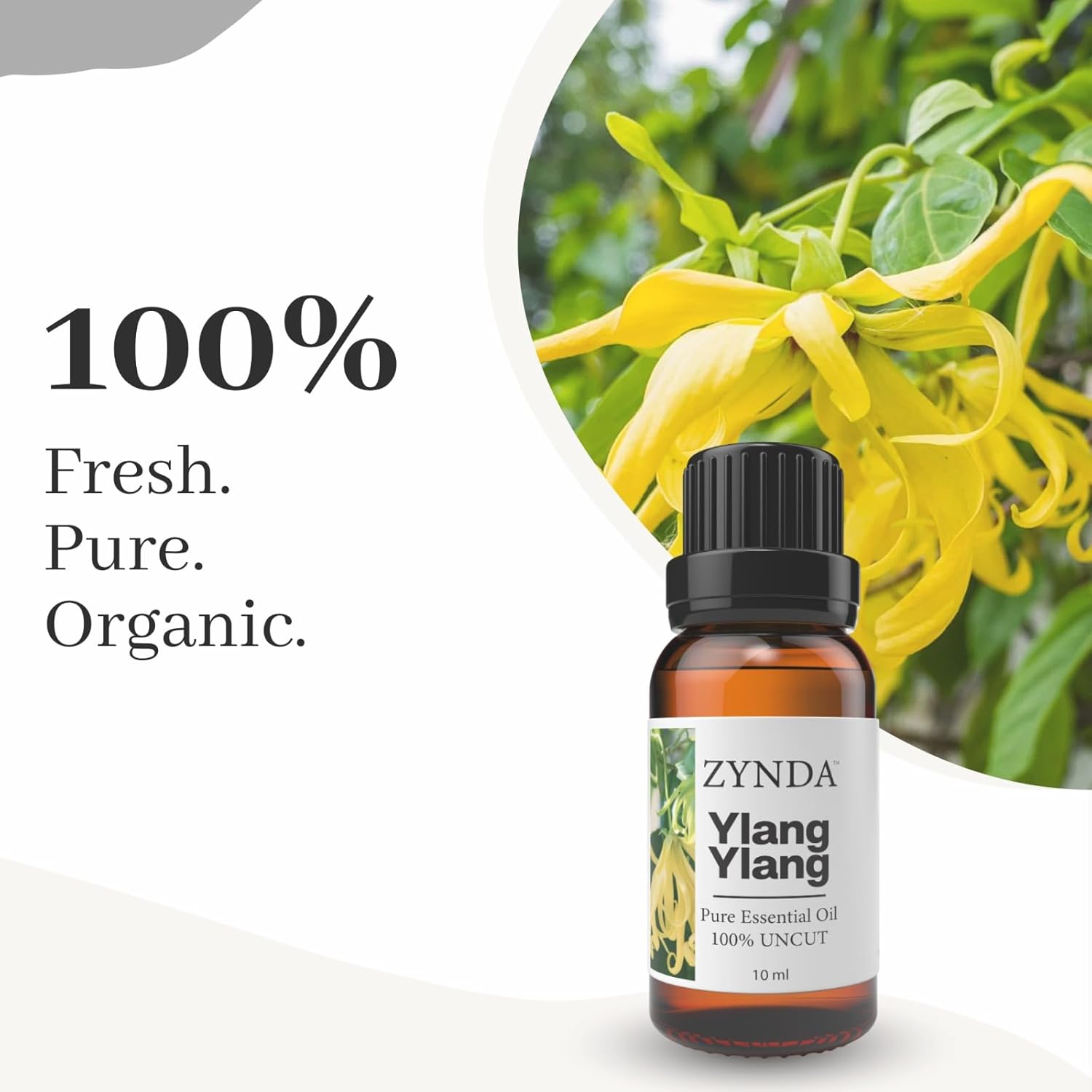 Ylang-Ylang Essential Oil – 100% Pure & Natural | Premium Ylang Ylang Oil for Diffuser & Skin | Uncut • Raw • Very Potent Floral Aromatherapy Essential Oils for Relaxation & Self-Care - 10ML