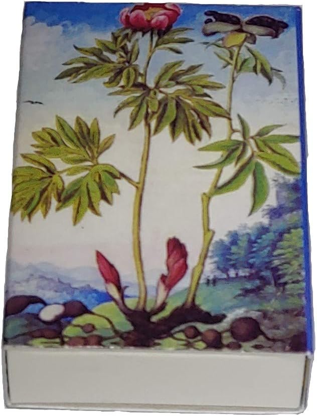 Decorative Mini Bontanical Floral Matchbox Set of 6 Matches for Candle and Fireplace Wood Matches