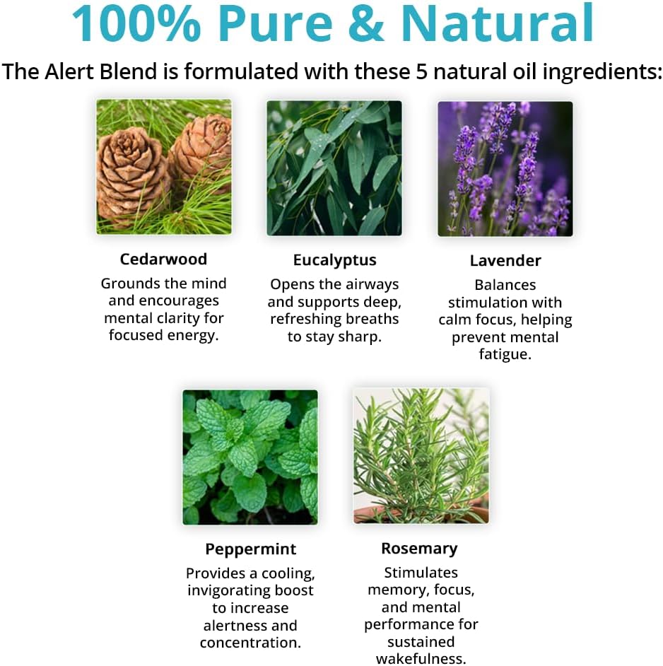 Wild Essentials Alert Essential Oil Blend 2-Pack – Roll-On & Nasal Inhaler with Cedarwood, Eucalyptus, Lavender, Peppermint & Rosemary – Natural Energy, Focus & Mental Clarity Aromatherapy Set