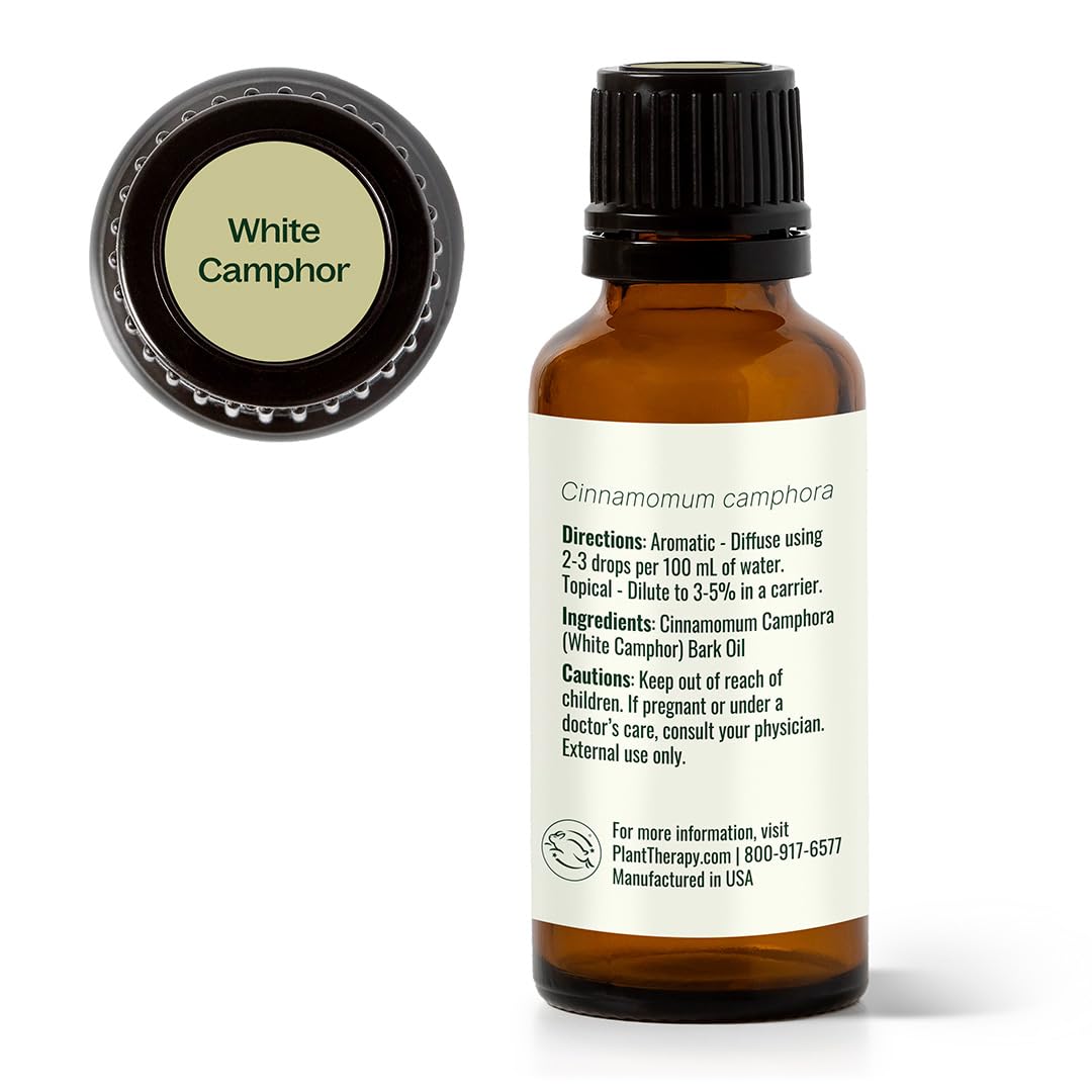 Plant Therapy White Camphor Essential Oil 30 mL (1 oz) 100% Pure, Undiluted, Supports Respiratory Health
