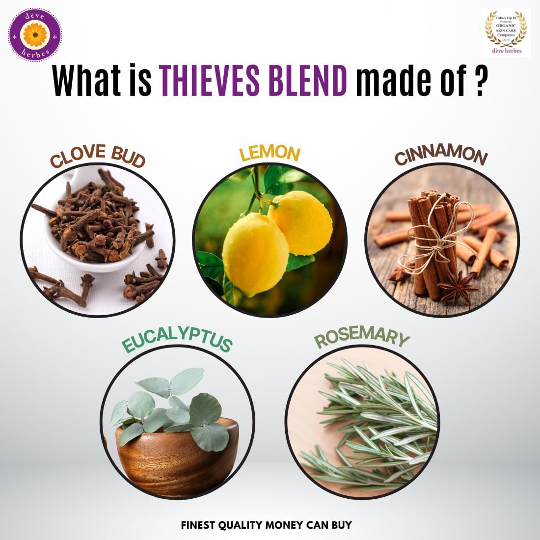 Deve Herbes Thieves Multipurpose Undiluted Essential Oil Blend with Glass Dropper 15ml (0.50 oz)