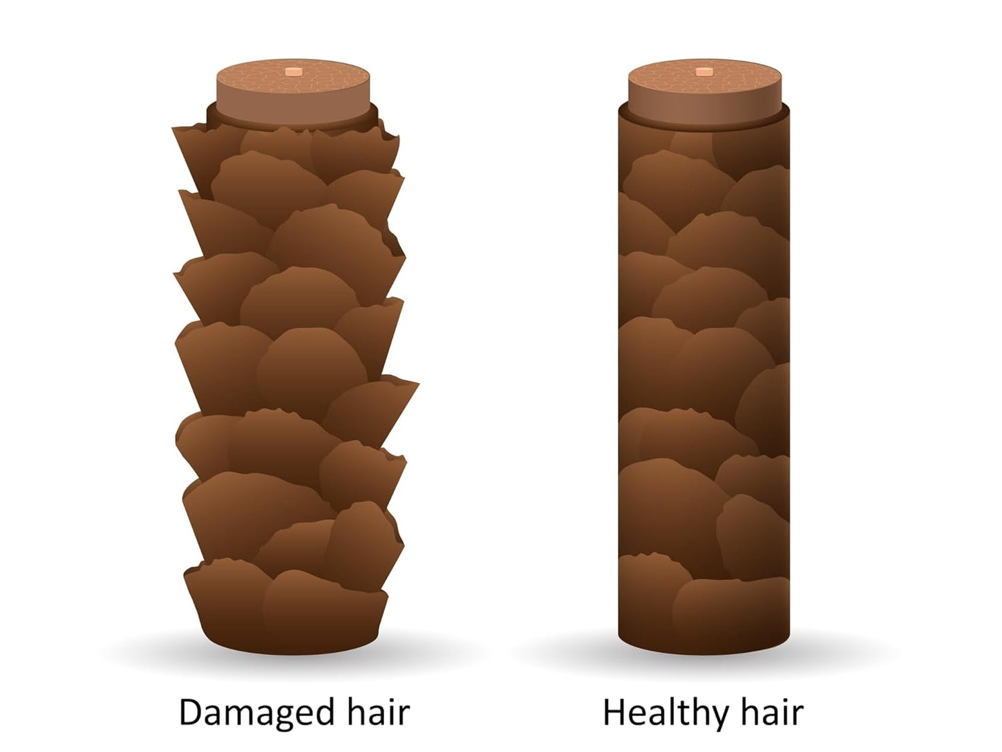 DermOrganic Original Argan Oil Leave-In Hair Treatment 4 oz (2 pack)