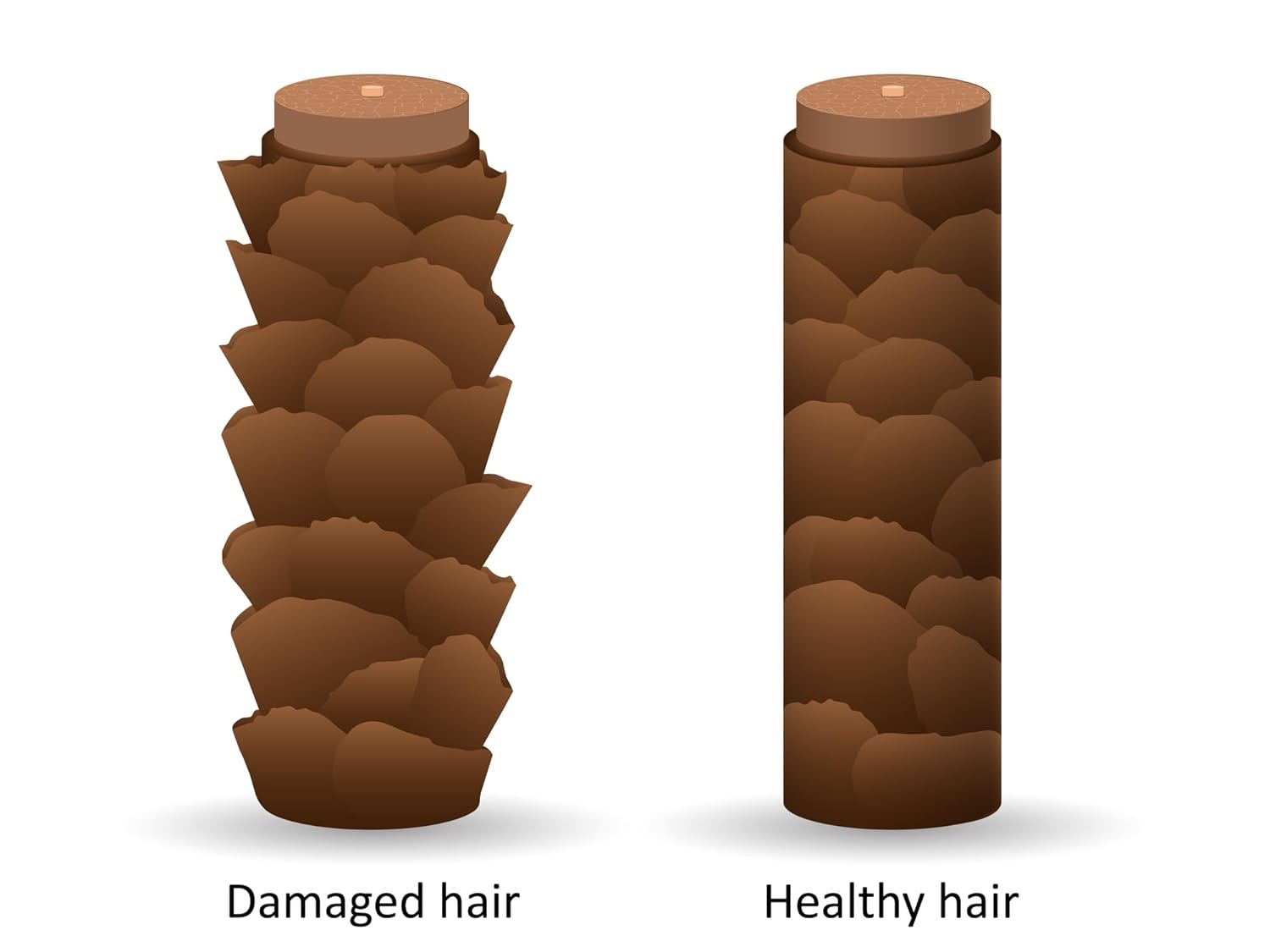 DermOrganic Original Argan Oil Leave-In Hair Treatment 4 oz (2 pack)