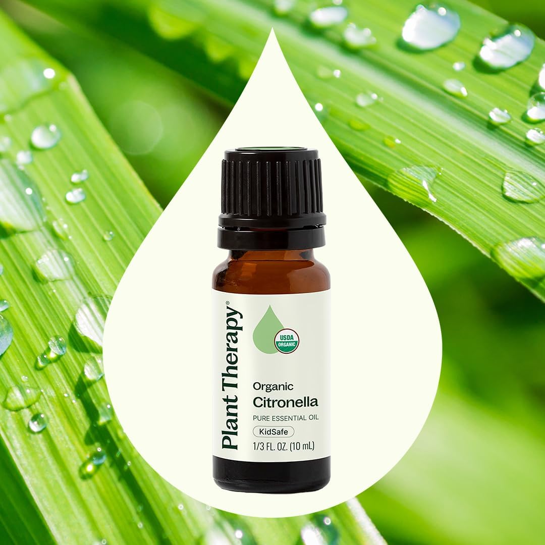 Plant Therapy Citronella Organic Essential Oil 10 mL (1/3 oz), 100% Pure, USDA Certified Organic, Undiluted, Natural Aromatherapy for Outdoor Pests and Immune Support