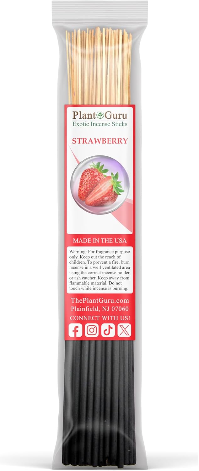 Fruits Incense Sticks Variety Set Bulk 500 Pack Sampler 11" Sticks - 5 Bundles of 100 Sticks Per Bundle. Set Includes - Black Coconut, Cherry, Mango, Strawberry and Sweet Orange
