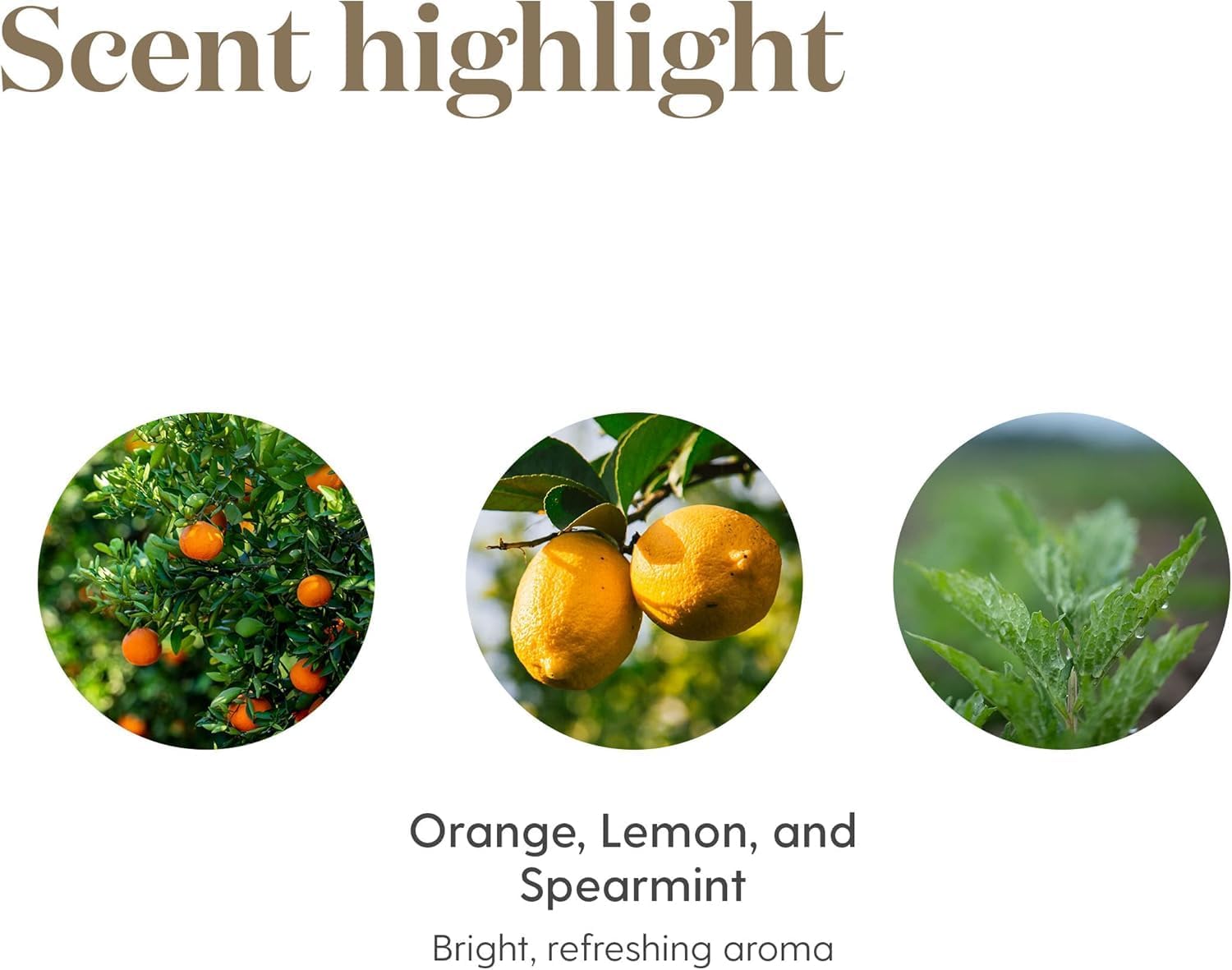 Young Living Citrus Fresh Essential Oil 15ml - Antioxidants, Essential Oils for Body, Orange, Uplifting and Refreshing Aroma When Diffused