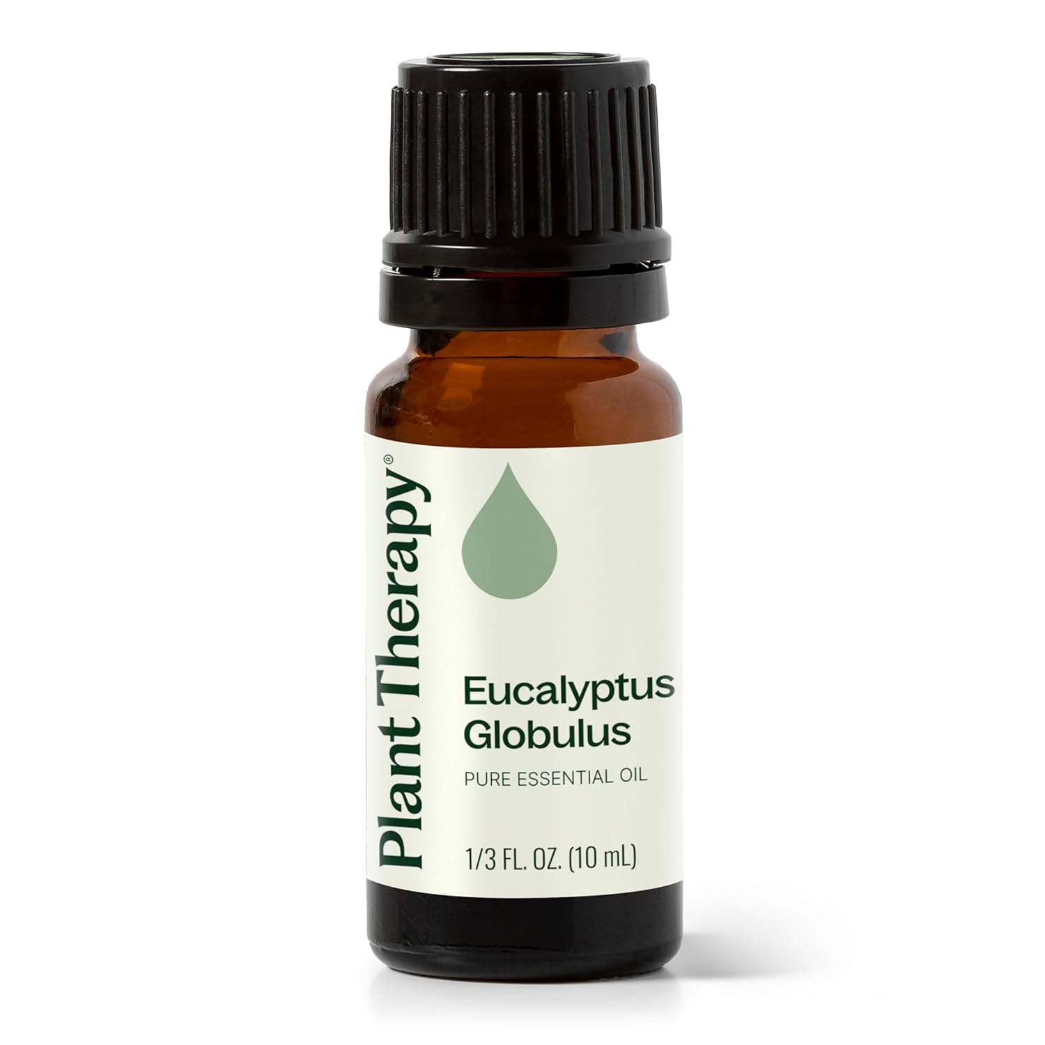 Plant Therapy Eucalyptus Globulus Essential Oil 10 mL (1/3 oz) 100% Pure, Undiluted for Diffuser, Skin, Hair, Aromatherapy DIYs, and Respiratory Support