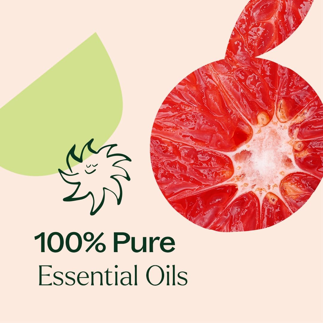 Plant Therapy Citrus Rise Essential Oil Blend 10 mL (1/3 oz) Bright, Uplifting Citrus for a Fresh Start, Perfect for Morning Motivation or Mid-Day Resets, Helps Refresh Any Space