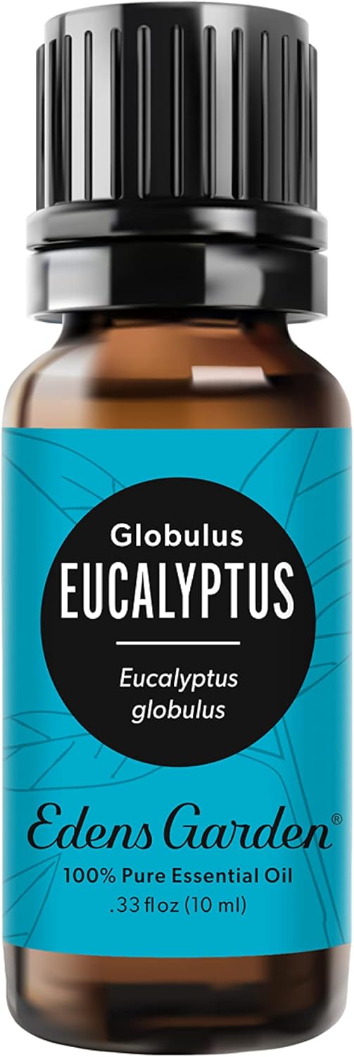 Edens Garden Eucalyptus - Globulus Essential Oil- 100% Pure Premium Grade, Undiluted, Natural, Therapeutic, Aromatherapy, The Best for Diffuser, Candle, Hair, Humidifiers 10 ml (.33 fl oz)