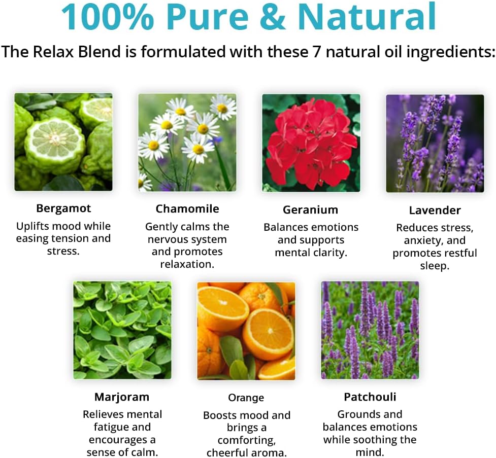 Wild Essentials Relax 100% Pure Essential Oil Synergy Blend 2 Pack - 10ml, Therapeutic Grade - Stress Ease, angst, Mood, Sleep, Calming, Mindfulness, Meditation, Made in The USA