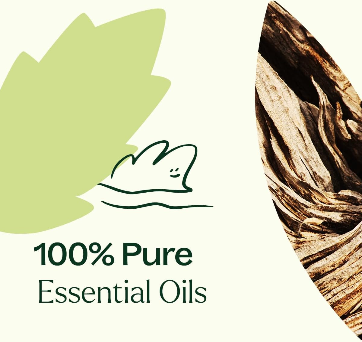 Plant Therapy Wood Spice Essential Oil Blend 10 mL (1/3 oz) 100% Pure, Undiluted Essential Oils, Great for DIYs and Diffusing