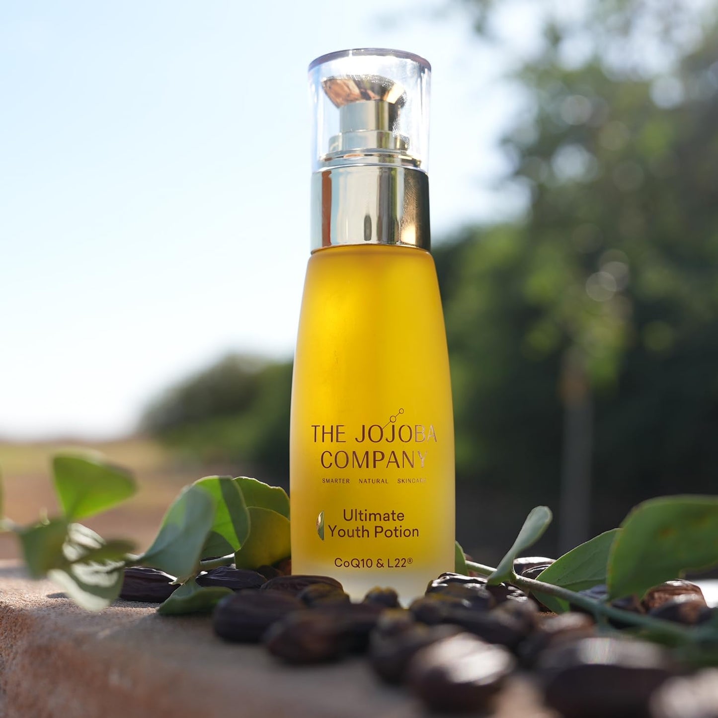 The Jojoba Company Ultimate Youth Potion 50ml – Anti-Aging Face Oil with Natural Jojoba, L22 Lipid Complex – Firms, Hydrates, Boosts Collagen & Elasticity – Glowing Skin Serum for Women & Men