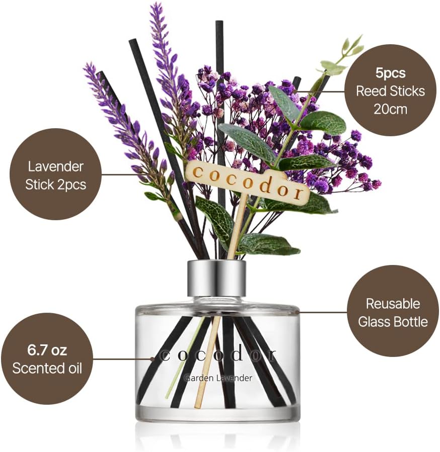 COCODOR Lavender Reed Diffuser/Garden Lavender / 6.7oz(200ml) / 1 Pack/Home Decor & Office Decor, Fragrance and Gifts