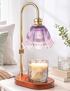 Candle Warmer Lamp with Timer, Christmas Decorations Indoor, Birthday Gifts for Women Mom, Warming Gifts for Office, Dorm, Apartment & New Home Decor