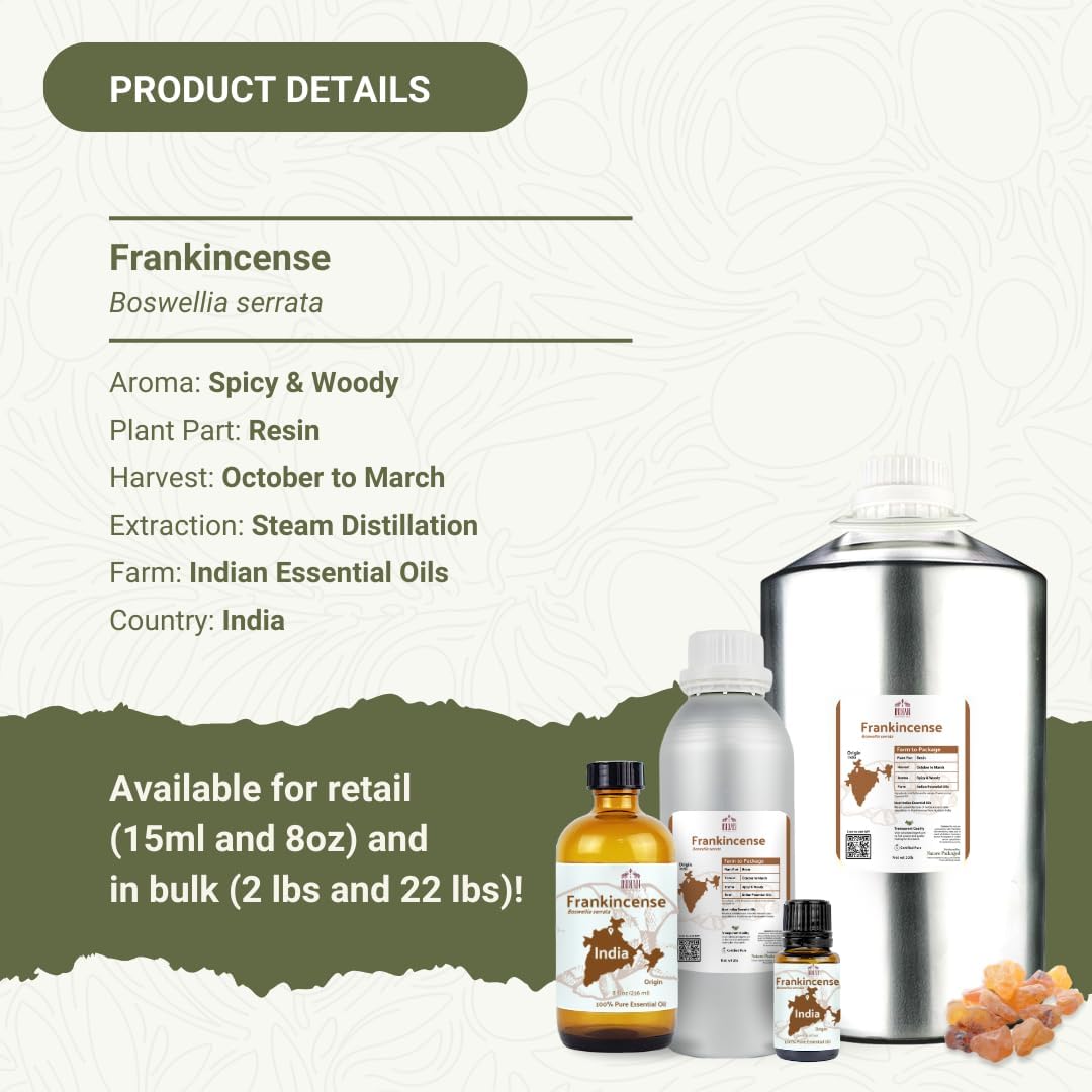 Frankincense Essential Oil - Direct from Madhya Pradesh, India - Pure Essential Oil for Diffusers and Aromatherapy | 100% Pure Therapeutic Grade Natural Aceite de Incienso (8oz)