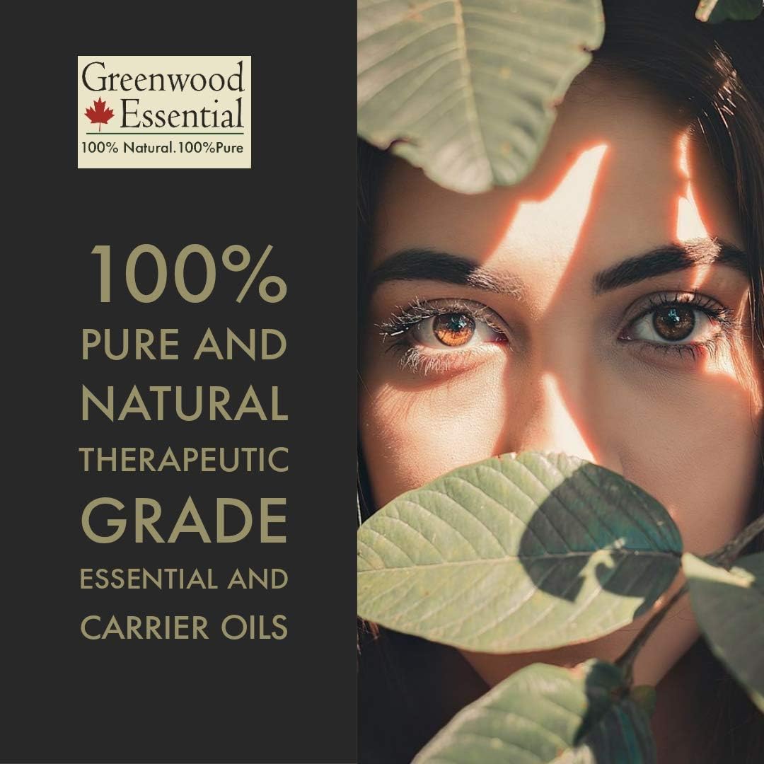 Greenwood Essential Olibanum Essential Oil (Boswellia carterii) with Glass Dropper | Pure | Non-Sticky | Non-Greasy | Lightweight | Men & Women | All Skin Types | Steam Distilled 30ml (1 oz)
