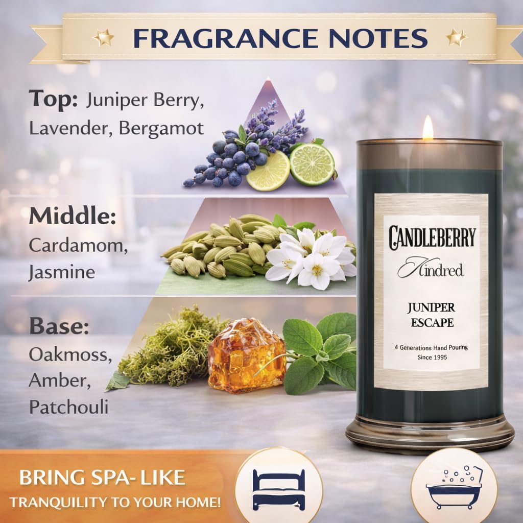 Candleberry Candles Kindred Tropical Citrus Collection | Luxury Glass Jar | USA Hand Poured Soy Blend Candle | Highly Scented & Long Lasting | Up to 90 hour Burn Time (Juniper Escape)