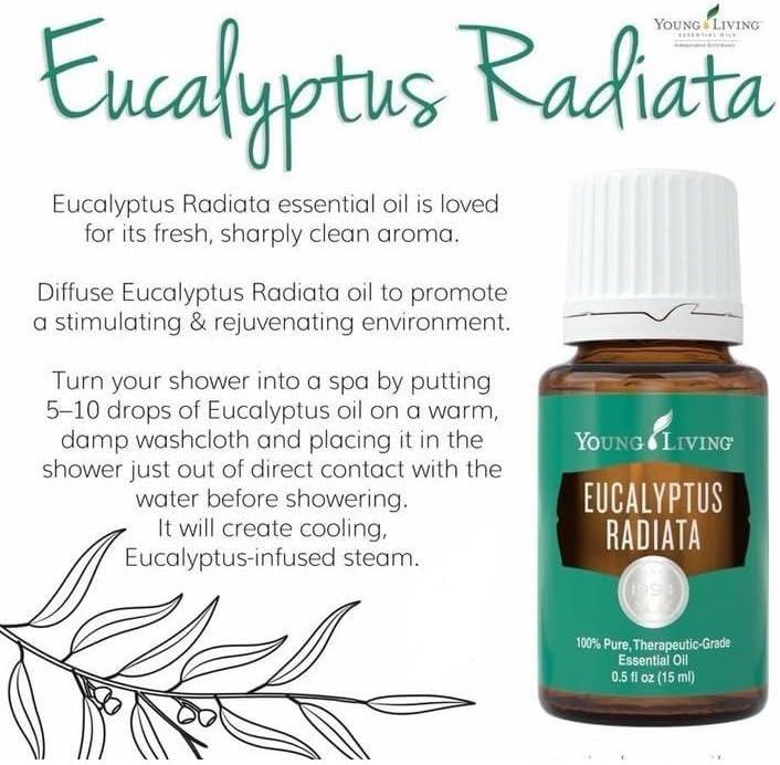 Young Living Eucalyptus Radiata Essential Oil - 15 ml - Breathe Easy with Refreshing Aroma - Ideal for Relaxing Bedtime Routine and Head, Neck, Chest Application