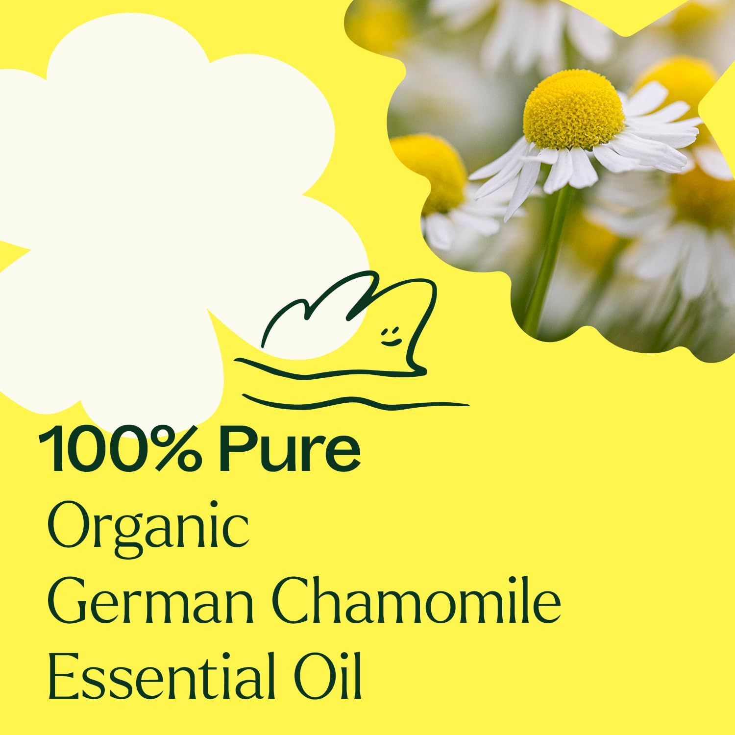 Plant Therapy Organic German Chamomile Essential Oil, 2.5 mL (1/12 oz), 100% Pure and Undiluted, Aromatherapy to Promote a Tranquil Atmosphere