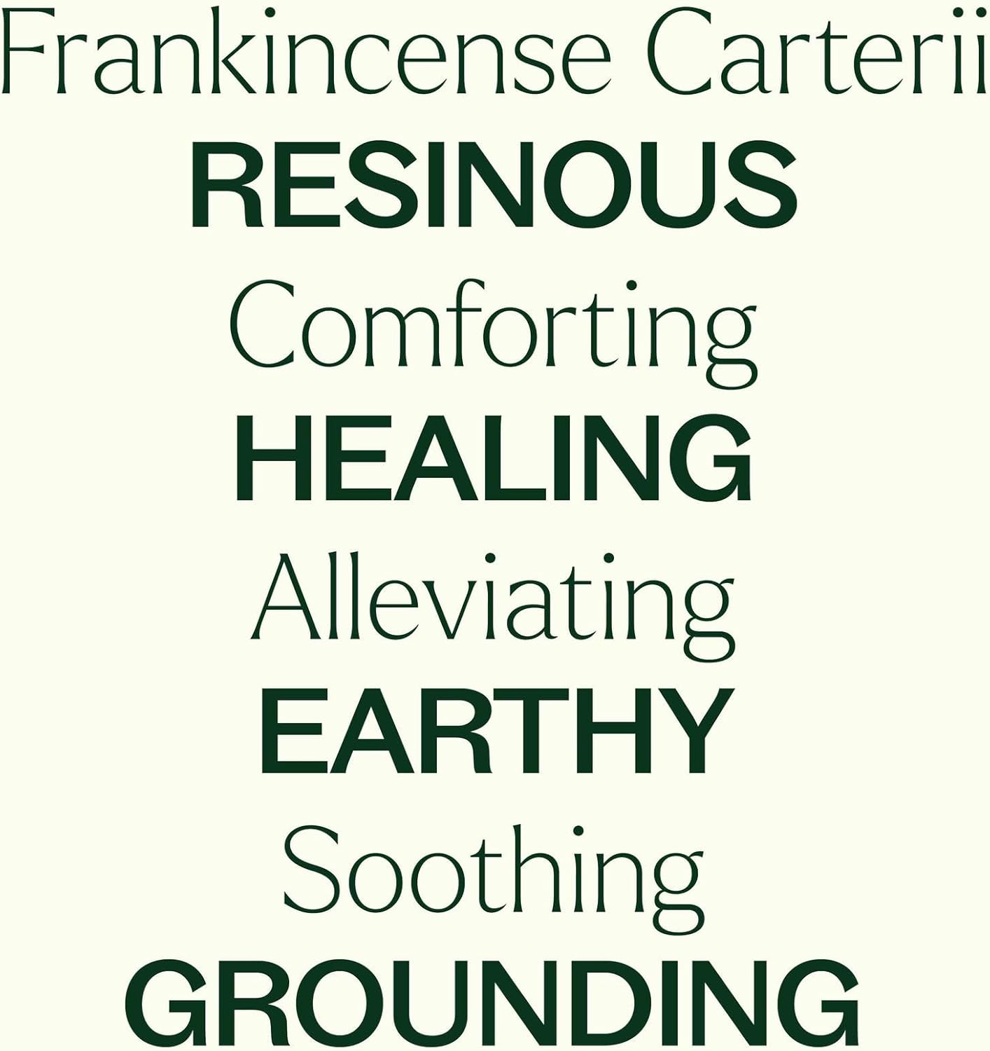 Plant Therapy Frankincense Carterii Essential Oil Pre-Diluted Roll-On 10 mL (1/3 oz), Natural Aromatherapy, Soothing Essential Oil for Meditation, Skin Irritation, and Sore Muscle Relief
