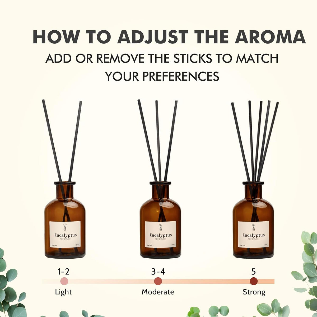 Reed Diffuser Set