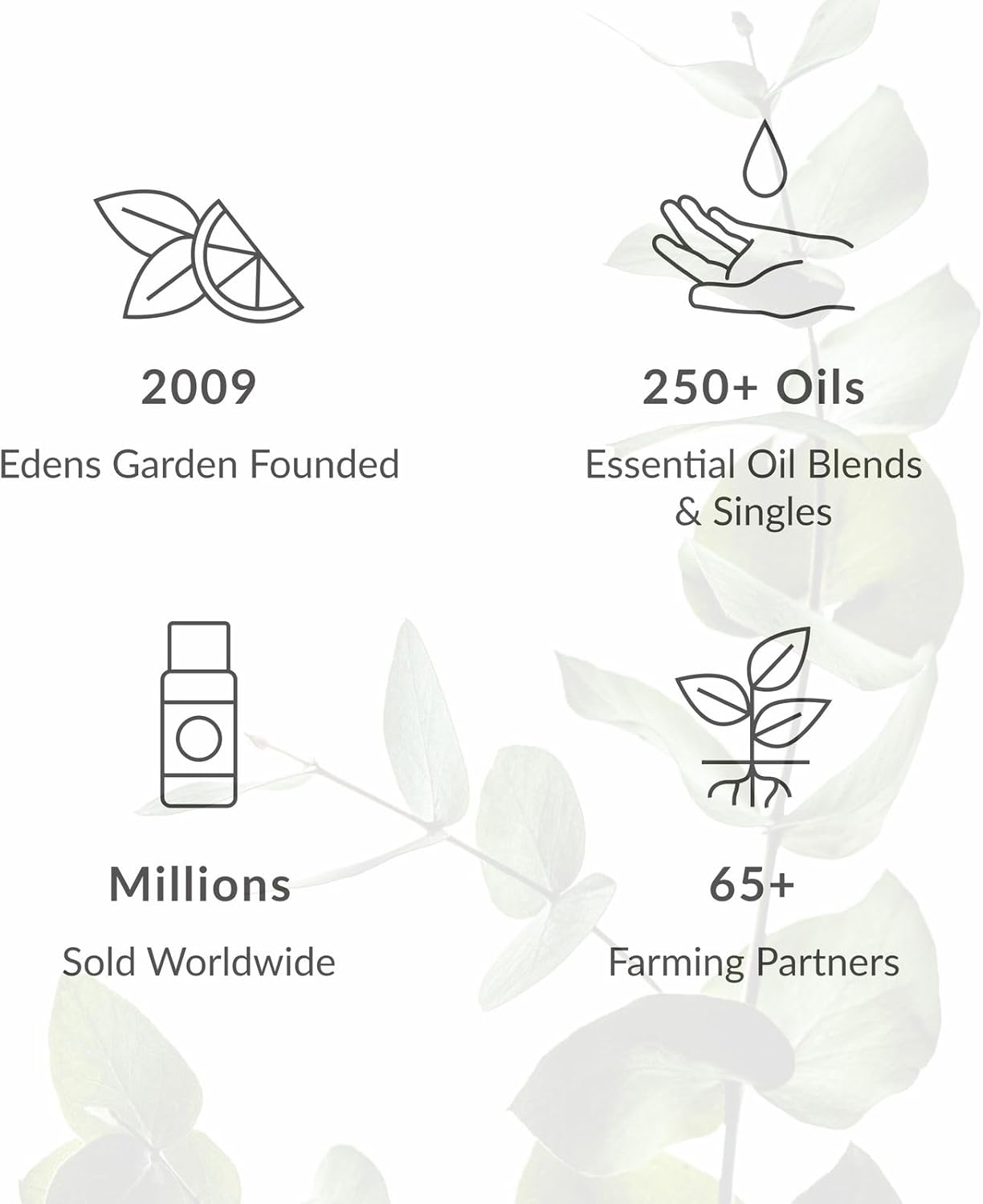 Edens Garden Essential Oil Roll-On Blend- 100% Pure Premium Grade, Natural, Therapeutic, Aromatherapy, Kid & Skin Safe, The Best for Body, Travel, Gifts, Pre-Diluted 10 ml (.33 fl oz)