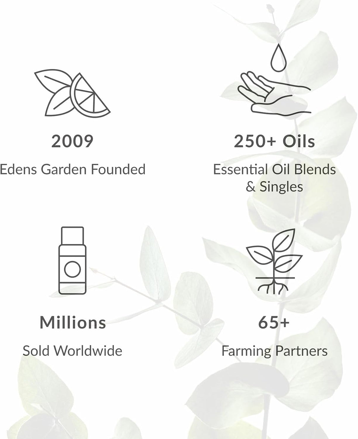 Edens Garden Rose 100% Pure Essential Oil Blend 10 ml (.33 oz)