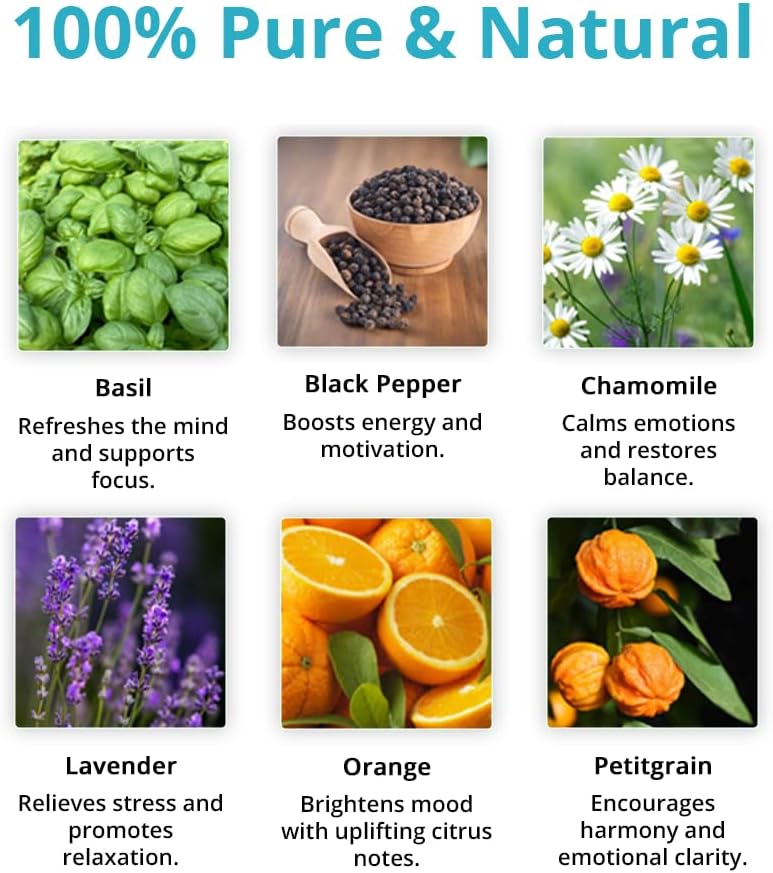 Wild Essentials Cheer The F Up Essential Oil Blend, Happy Uplifting Aromatherapy Oil for Diffusers, 100% Pure, Crafted in USA