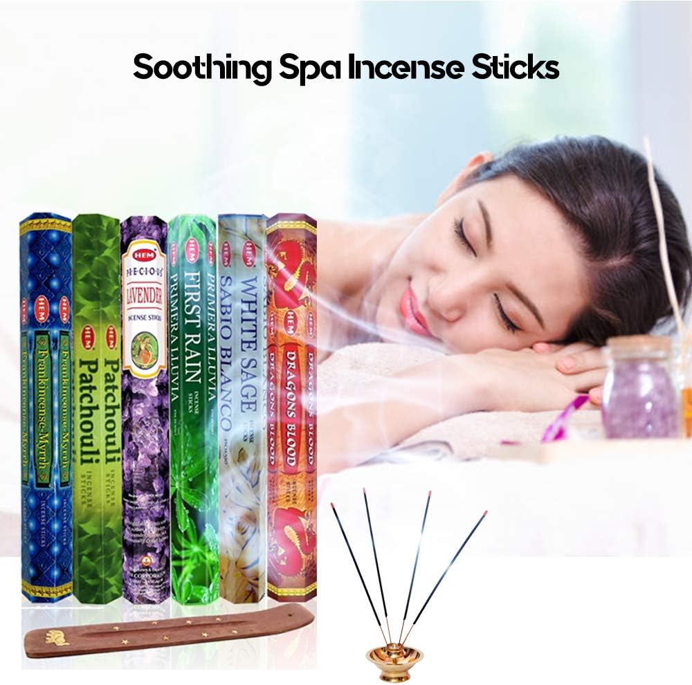 Six Most Popular HEM Incense Scents With Free Burner - 40 Sticks Each of Dragon's Blood, Frankincense & Myrrh, Patchouli, Precious Lavender, First Rain, and White Sage 240 TOTAL STICKS