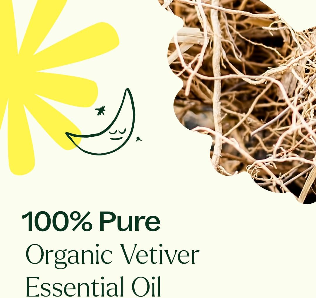 Plant Therapy Organic Vetiver Essential Oil, 5 mL (1/6 oz) Pure, Undiluted Essential Oil, Great for Meditation and DIY Natural Skin Care