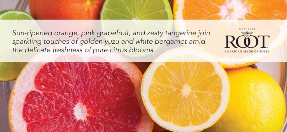 Root Candles Scented Candles Honeycomb Beeswax Blend Premium Handcrafted Candle, 12-Ounce 3-Wick, Citron & Bergamot