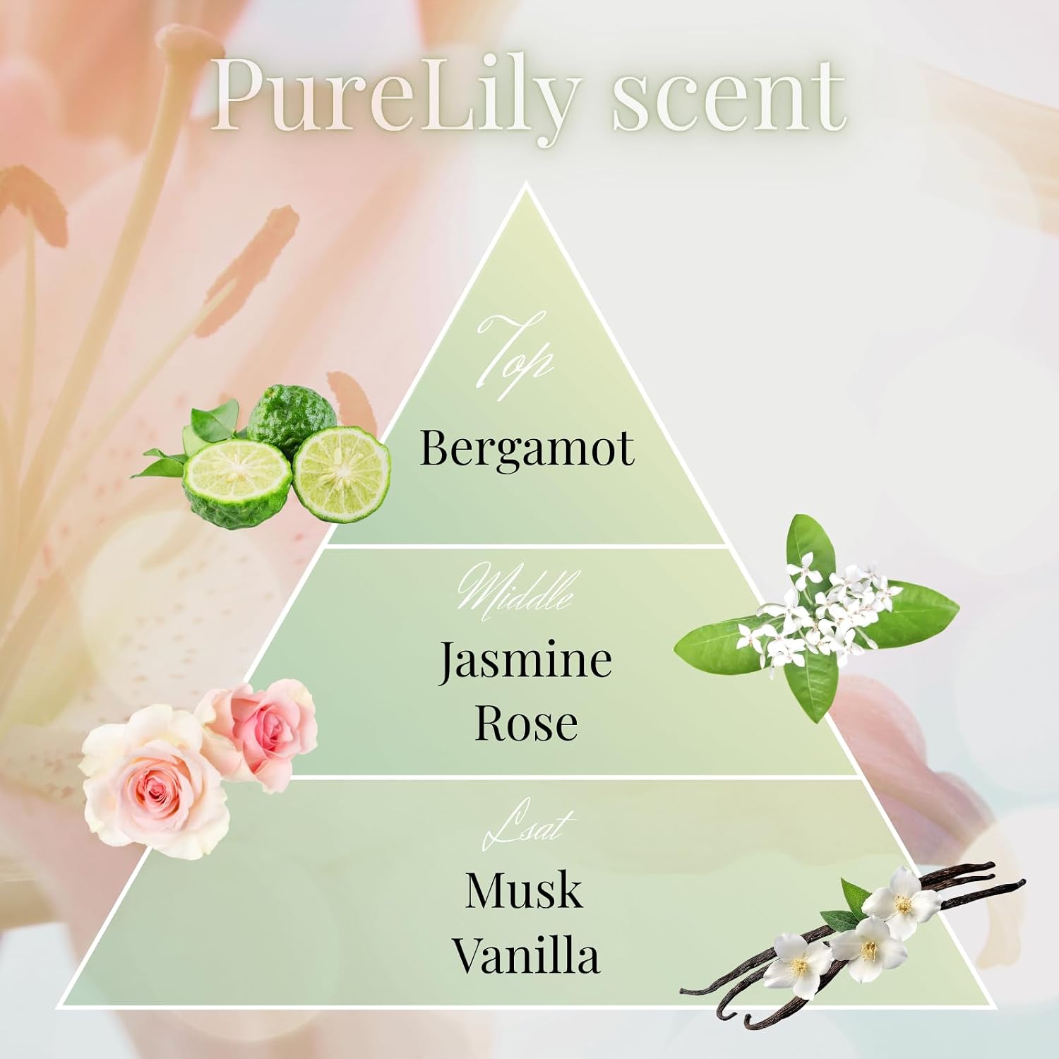 Pure Lily Luxury Japanese Incense Sticks 60sticks Bergamot Vanilla Jasmine Coreless Low Smoke Natural Charcoal Free Non Toxic Aromatherapy Meditation Calming Stress Relief Relaxation Yoga TOMORI