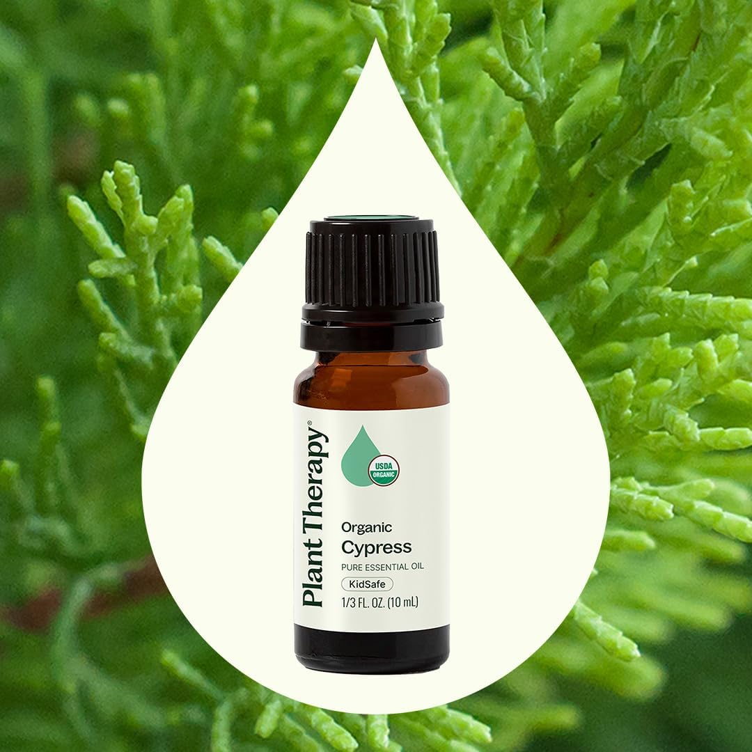 Plant Therapy Organic Cypress Essential Oil 10 mL (1/3 oz), 100% Pure, Undiluted, Natural Aromatherapy for Congestion Relief and Clear Skin