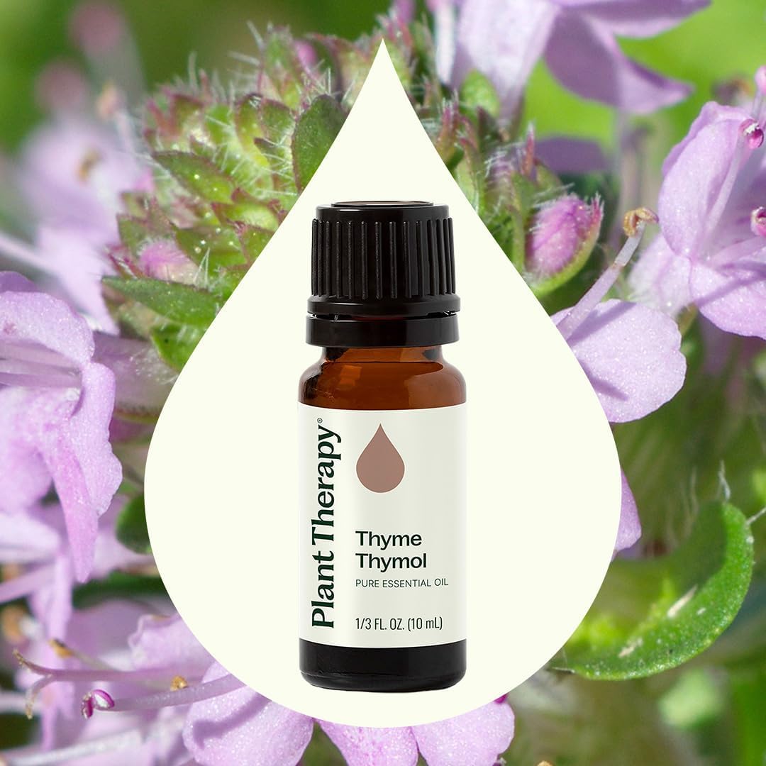 Plant Therapy Thyme Thymol Essential Oil 10 mL (1/3 oz), 100% Pure, Undiluted, Natural Aromatherapy for Immune Support and Digestive Relief