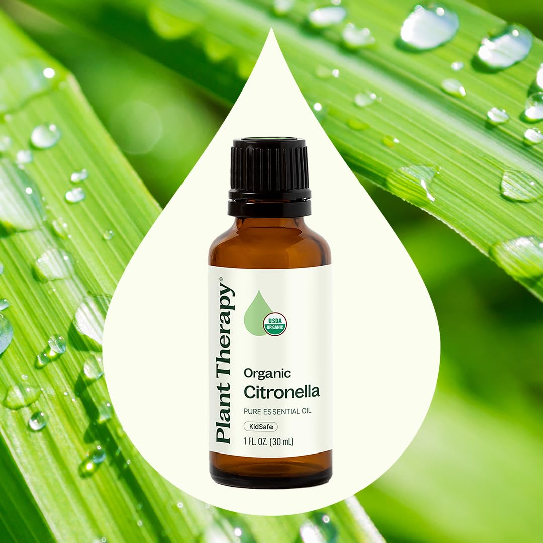 Plant Therapy Citronella Organic Essential Oil 30 mL (1 oz), 100% Pure, USDA Certified Organic, Undiluted, Natural Aromatherapy for Outdoor Pests and Immune Support