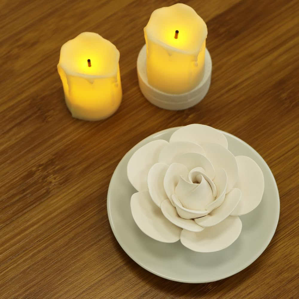 Passive Diffuser for Essential Oil-Ceramic Diffuser Non Electric Oil Diffusers for Small Mini Room, Desk Decorative, Bathroom (White Camellia)