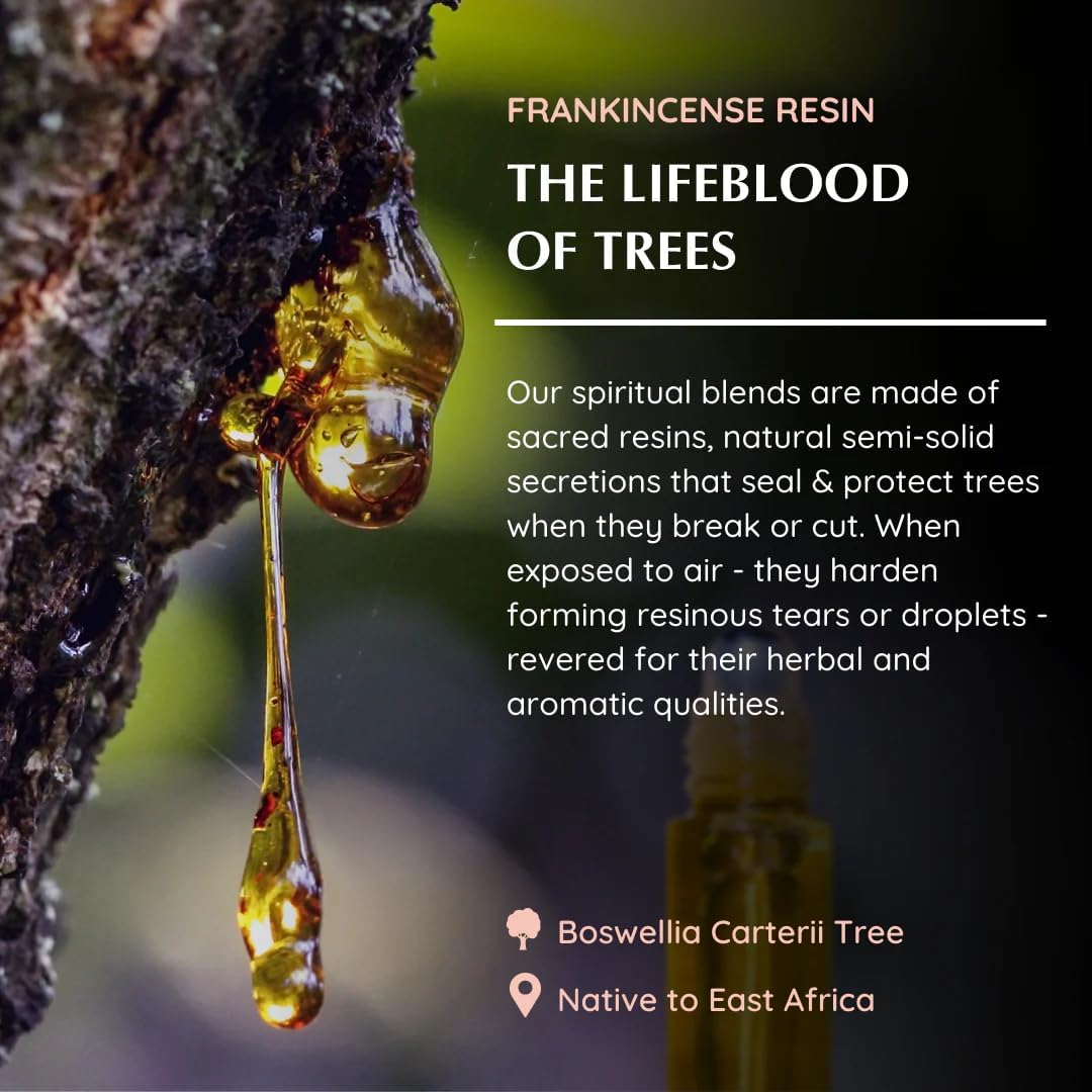 Frankincense Resin Essential Oil Roll-On Blend by Aromafume | 1 x 10ml / 1 x 0.33 Fl Oz | Made with Boswelia Caterii & Boswelia Serrata | for Meditation, Spiritual Awakening, Prayer and Wellness